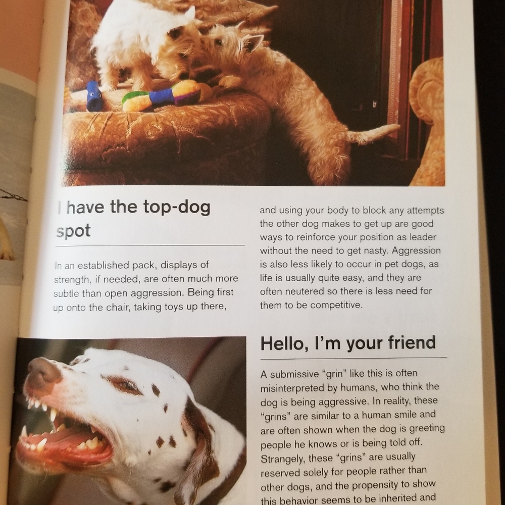 Dog Book - Picture 6 of 14